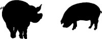 PIGSILHO.WMF