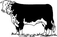 HEREFORD.WMF