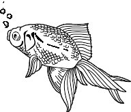 GOLDFISH.WMF