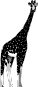 GIRAFFE.WMF