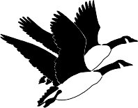 GEESE.WMF