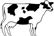 DAIRYCOW.WMF