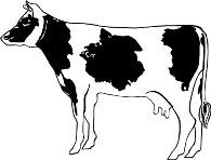 DAIRYCO1.WMF