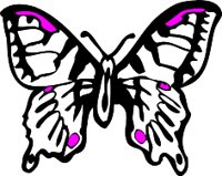 BUTRFLY4.WMF