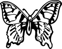 BUTRFLY3.WMF