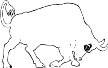 BULLMORT.WMF