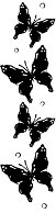 BTRFLY1.WMF