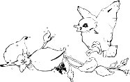 BIRD_BRA.WMF