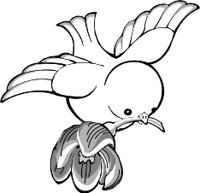 BIRDFLYI.WMF