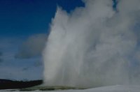 P0109932.jpg