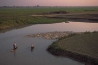 P0109540.jpg