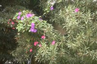 P0107875.jpg