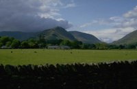 P0107464.jpg