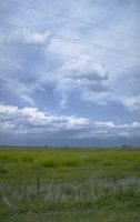 P0107445.jpg