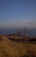 P0107431.jpg