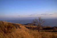 P0107430.jpg