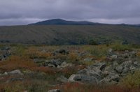 P0107216.jpg