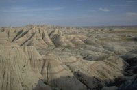 P0107214.jpg