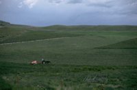 P0107188.jpg