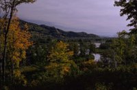 P0107146.jpg