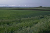 P0106986.jpg