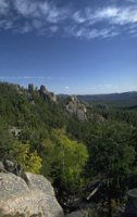 P0106910.jpg