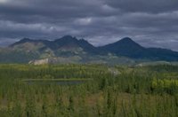 P0106895.jpg