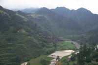 P0106799.jpg
