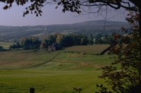 P0106758.jpg