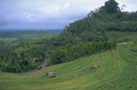P0106743.jpg
