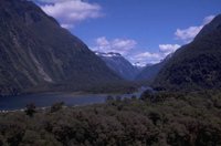 P0105240.jpg