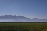 P0105236.jpg