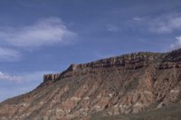 P0105208.jpg