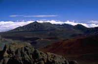 P0104994.jpg