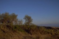 P0104763.jpg
