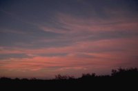 P0104400.jpg