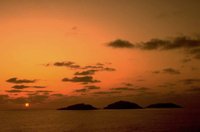P0104319.jpg