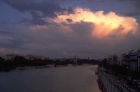 P0104177.jpg