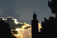 P0104160.jpg