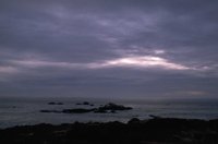 P0104104.jpg