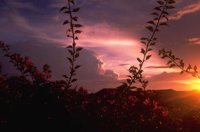 P0104043.jpg