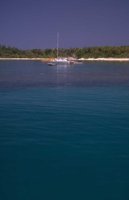 P0101617.jpg