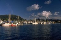 P0101499.jpg