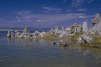 P0101456.jpg