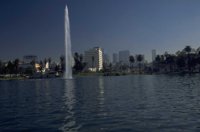 P0101429.jpg