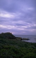 P0101201.jpg