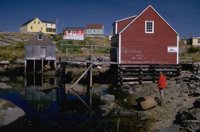 P0100871.jpg
