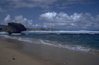 P0100854.jpg