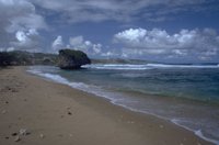 P0100836.jpg