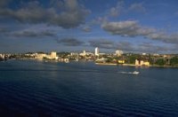P0100834.jpg